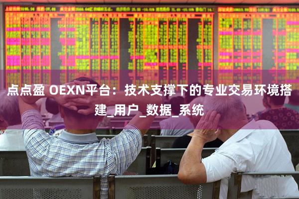 点点盈 OEXN平台：技术支撑下的专业交易环境搭建_用户_数据_系统