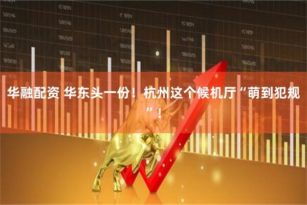 华融配资 华东头一份！杭州这个候机厅“萌到犯规”！