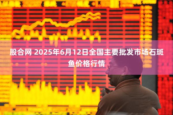 股合网 2025年6月12日全国主要批发市场石斑鱼价格行情