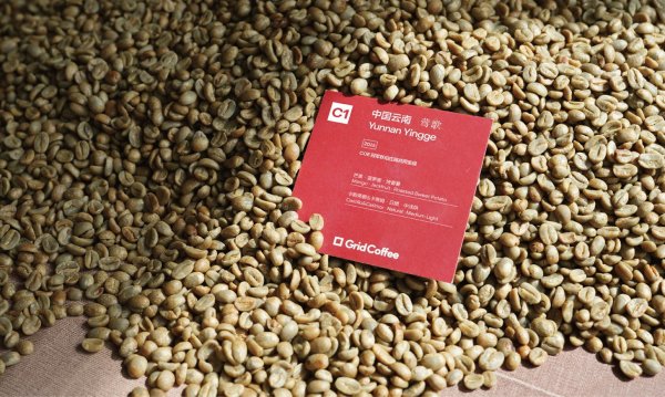 卓信速配  从山岭，到世界：Grid Coffee2025中国云南产地季