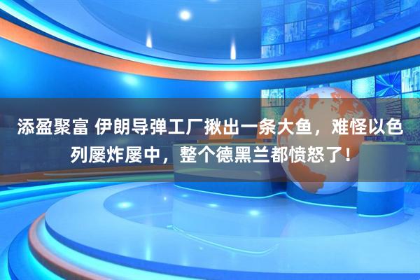 添盈聚富 伊朗导弹工厂揪出一条大鱼，难怪以色列屡炸屡中，整个德黑兰都愤怒了！